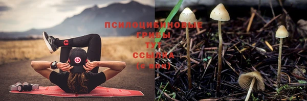 круглые Аркадак