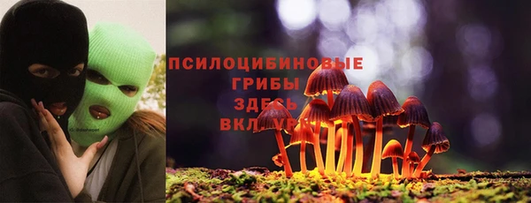 молекула духа Новодвинск
