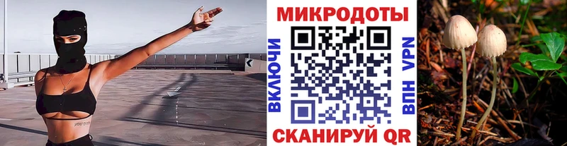 Псилоцибиновые грибы прущие грибы  купить наркоту  Старая Купавна 