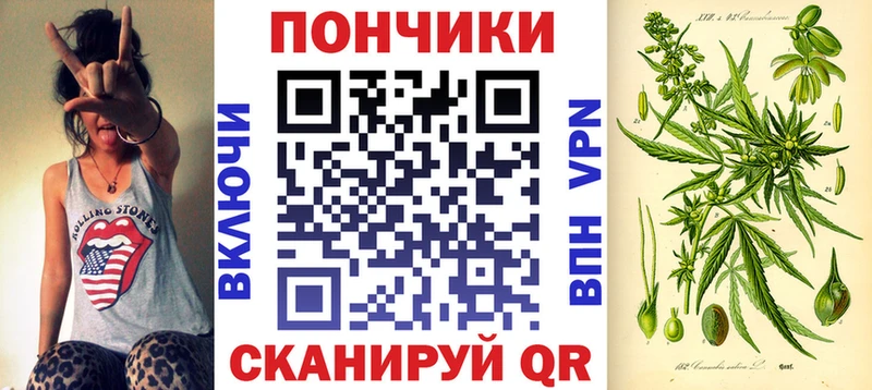 Шишки марихуана марихуана  наркошоп  Старая Купавна 